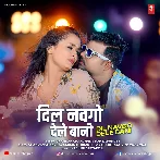 Dil Navgo Dele Bani (Chandan Chanchal, Srishti Bharti)
