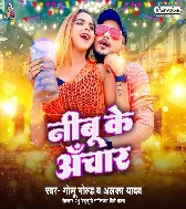 Hum Diwana Bani Tahara Nimbu Ke Anchar Ke