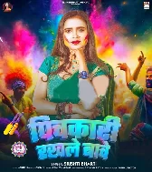 Pichakari Rakhale Bawe