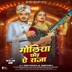 Goliya Chhoda Ae Raja (Ankush Raja, Shilpi Raj)