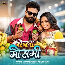 Ek Darjan Kela Deda Dugo Mausami (Hit Matter)