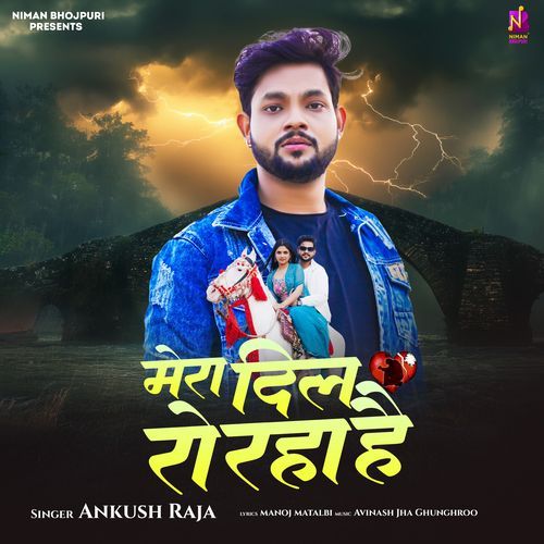 Mera Dil Ro Raha Hai (Ankush Raja)