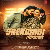 Sherwani (Arvind Akela Kallu, Shilpi Raj)